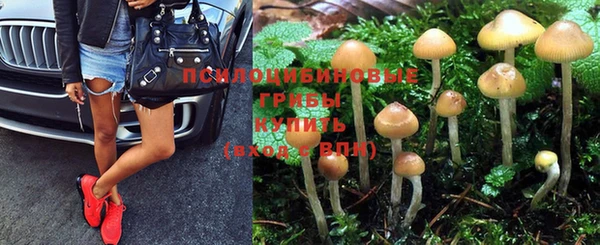 mdpv Арсеньев