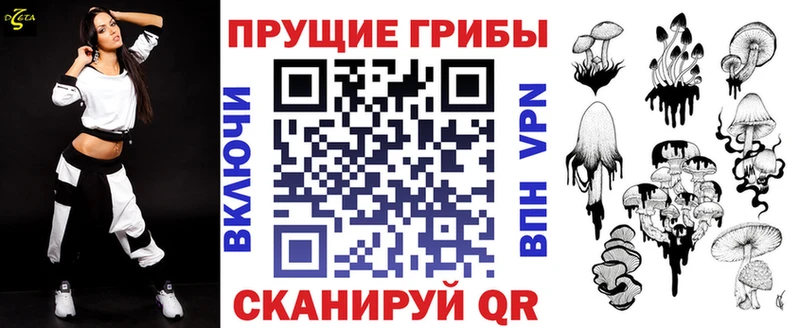 Галлюциногенные грибы Psilocybe  Мичуринск 